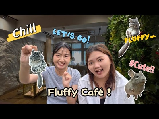  多媒體概論 